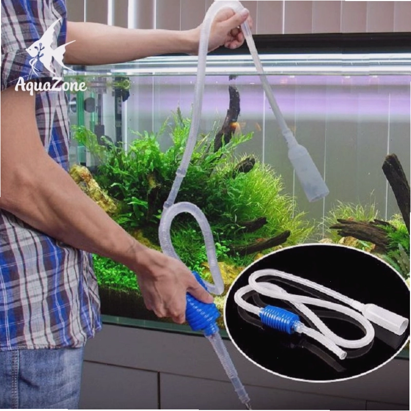 Hút cặn và thay một phần nước hồ cá bằng ống siphon