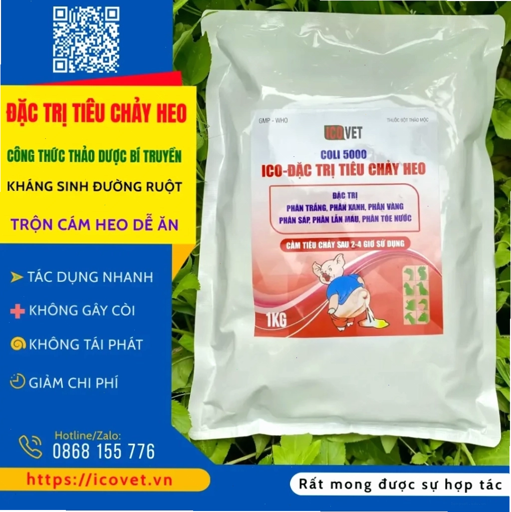 ICO-ĐẶC TRỊ TIÊU CHẢY HEO là giải pháp hiệu quả cho heo bị tiêu chảy