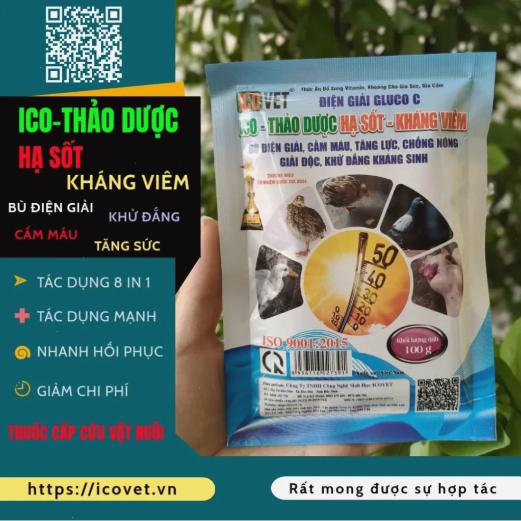 ICO-THẢO DƯỢC HẠ SỐT KHÁNG VIÊM hỗ trợ điều trị bệnh cho heo