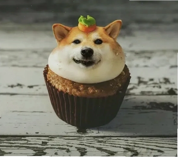 Khoảnh khắc đáng yêu của chú chó Shiba trong meme