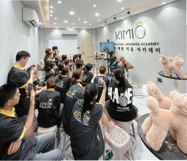 Kimi Pet - Dịch vụ spa cho mèo chuyên nghiệp và tận tâm