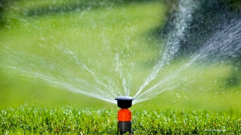 Lắp đặt hệ thống vòi phun tự động để đuổi mèo hoang, mèo ị bậy khỏi nhà