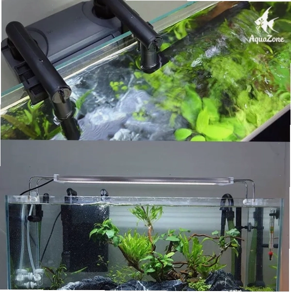 Lọc treo được lắp đặt gọn gàng phía sau hồ thủy sinh nhỏ