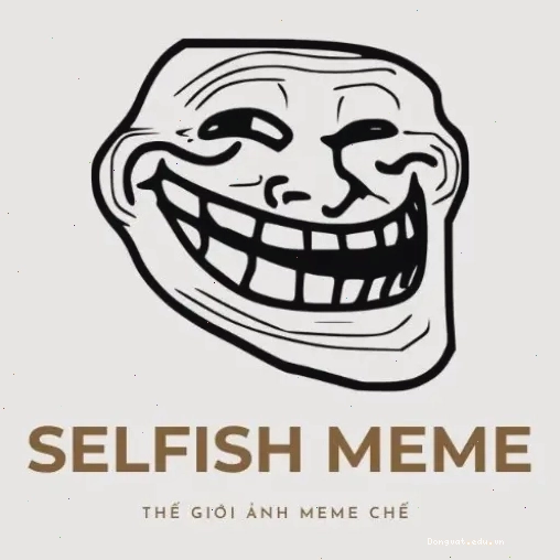 Logo The Selfish Meme