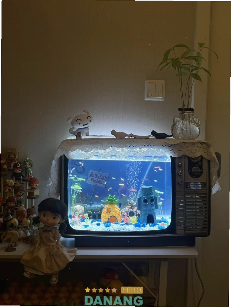 Long Sinh Aquarium cung cấp thiết bị và cá cảnh