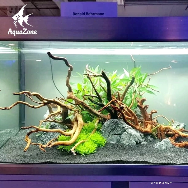 Lớp phân nền màu tối cung cấp dinh dưỡng cho cây thủy sinh