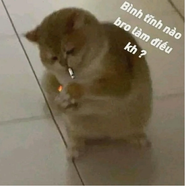 Meme 