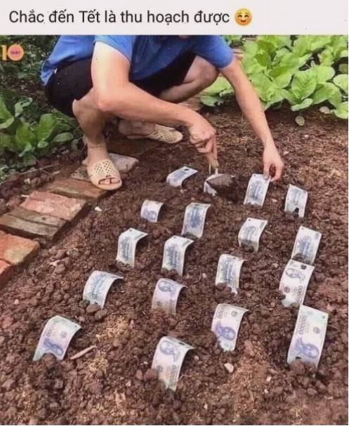 Meme 500k thể hiện sự hài hước về tình hình tài chính eo hẹp
