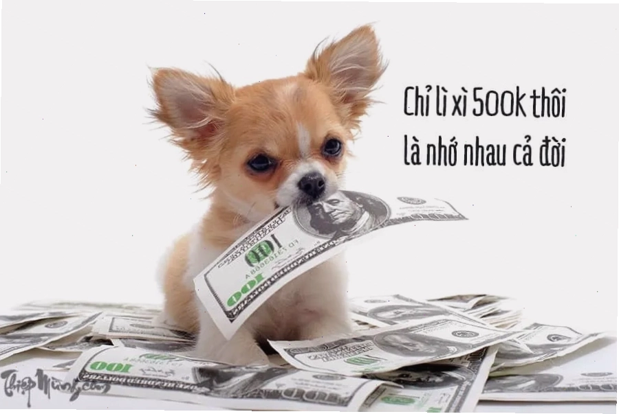 Meme 500k trong bối cảnh nhận lì xì