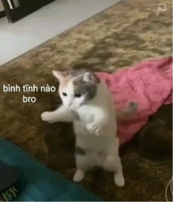 Meme bình tĩnh với hành động 