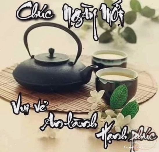 Meme chào ngày mới cute, phù hợp để troll bạn bè vào buổi sáng