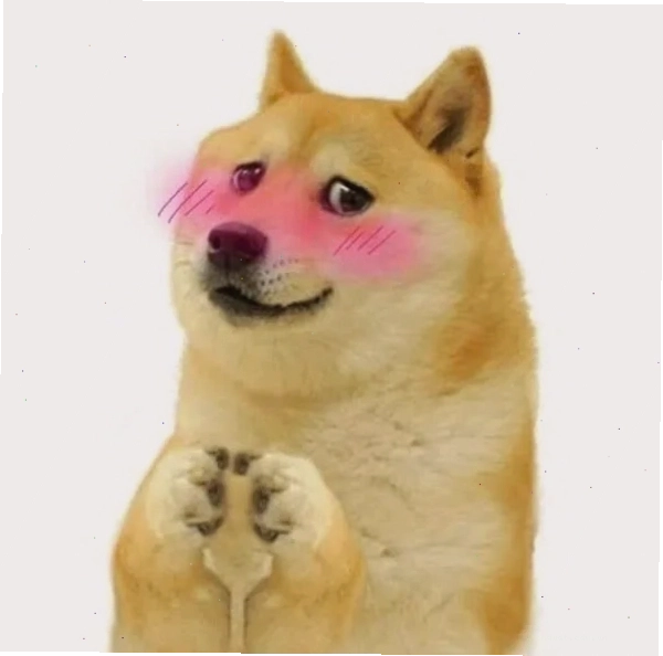 Meme chó Shiba đáng yêu với đôi mắt to tròn