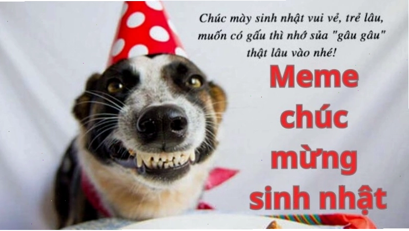 Meme chúc mừng sinh nhật lầy lội mặn hơn muối biển