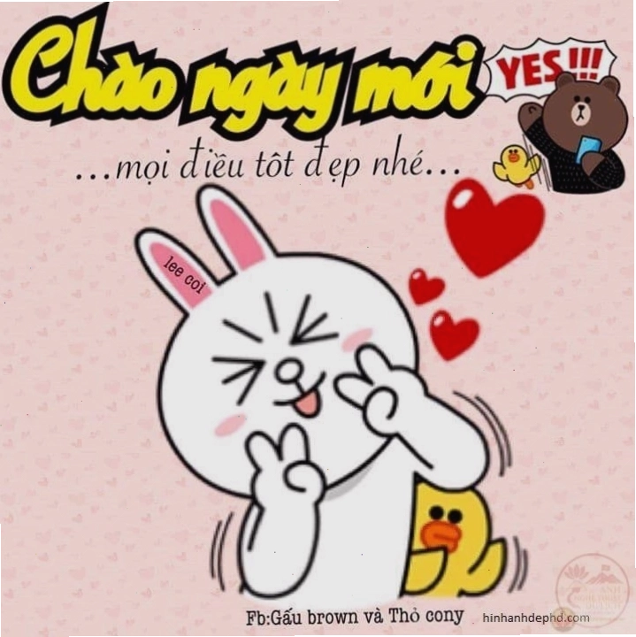 Meme chúc ngày mới tốt lành gửi gắm lời chúc ý nghĩa