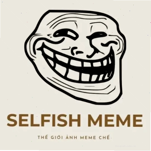 Meme con mèo với ánh mắt nghi ngờ và biểu cảm khó đoán
