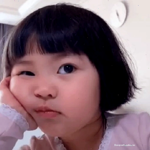 Meme em bé biểu cảm chán nản khiến người xem bật cười