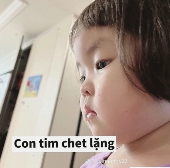 Meme em bé biểu cảm chết lặng vì quá đáng yêu