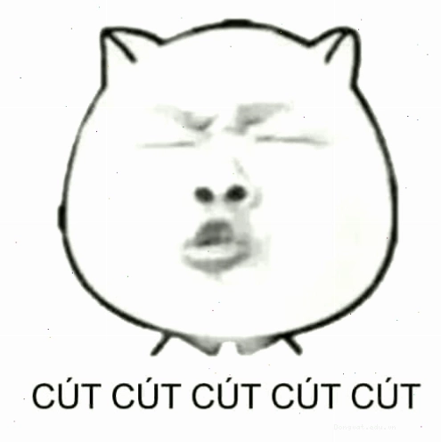 Meme gấu trúc biểu cảm muốn đuổi theo