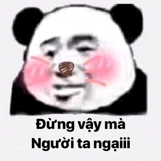 Meme gấu trúc biểu cảm ngại ngùng