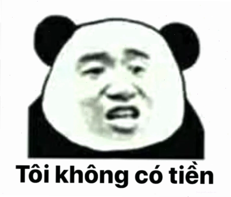 Meme gấu trúc không có tiền