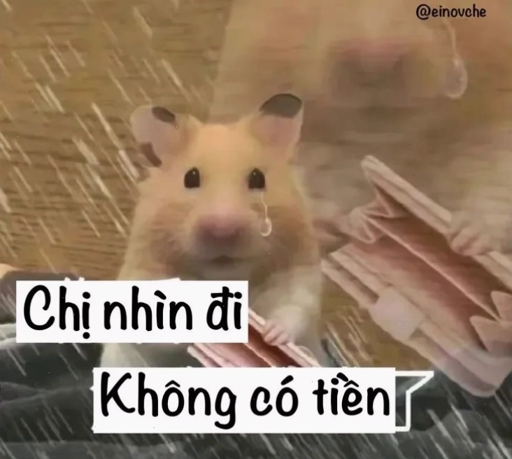 Meme hết tiền dễ thương
