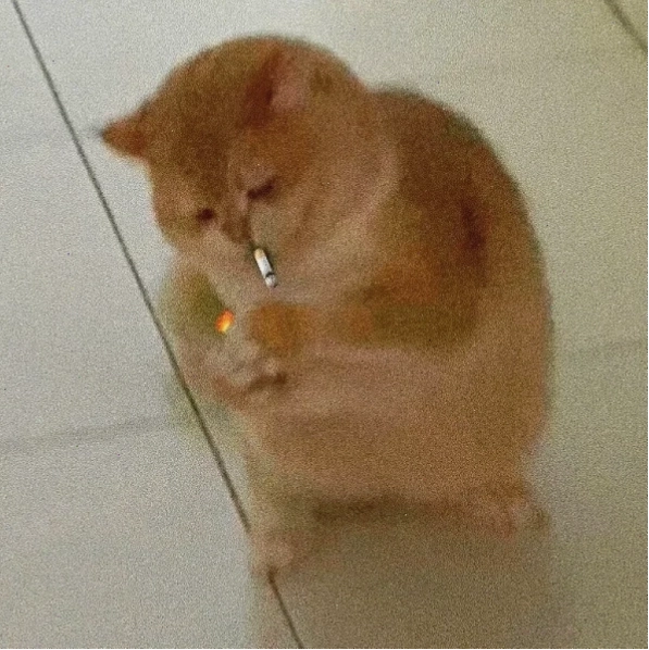 Meme hút thuốc 4