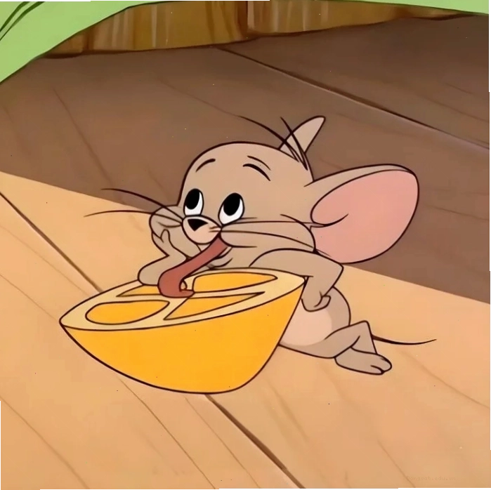 Meme Jerry biểu cảm hài hước