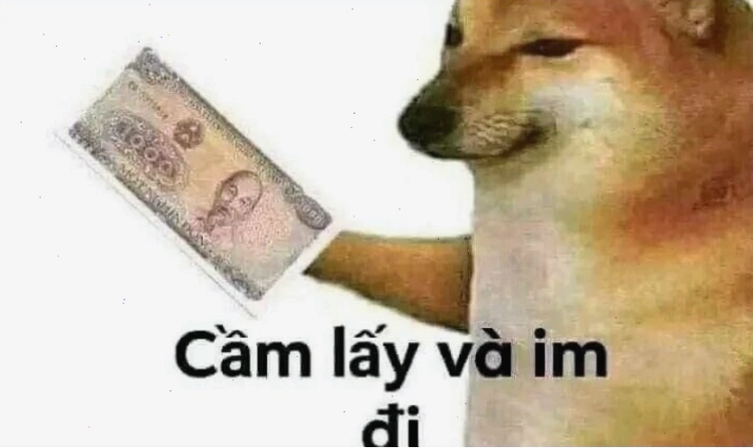 Meme mèo bựa ngồi tạo dáng kỳ lạ