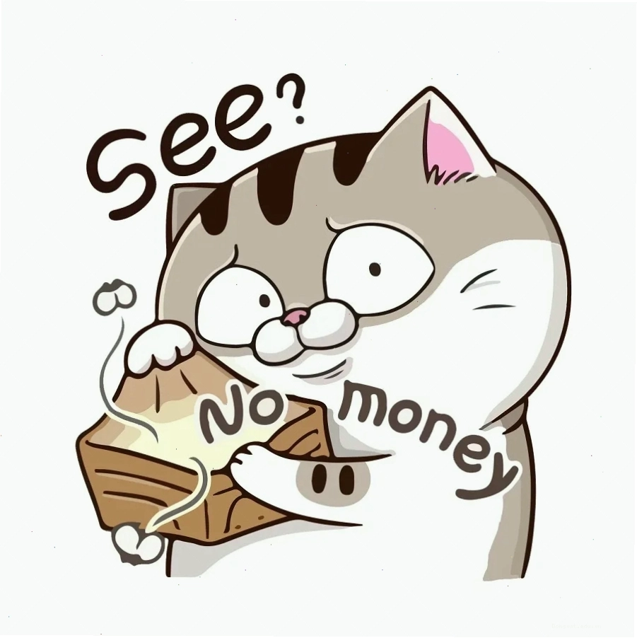 Meme mèo bụng bự hết tiền