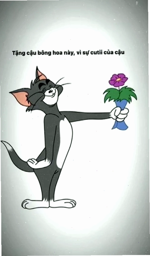Meme mèo Tom đang tặng hoa một cách vụng về