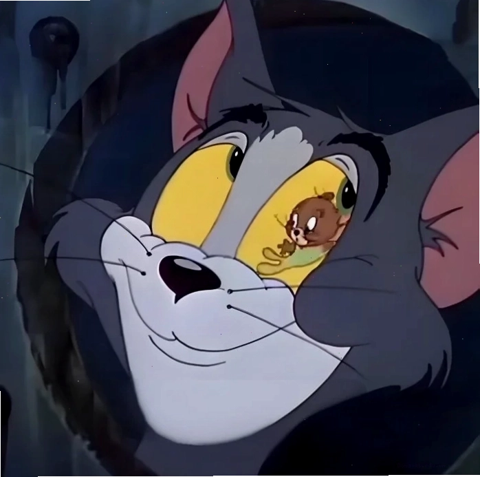 Meme mèo Tom ngộ nghĩnh