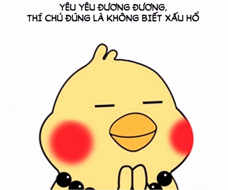Meme ngại ngùng động vật