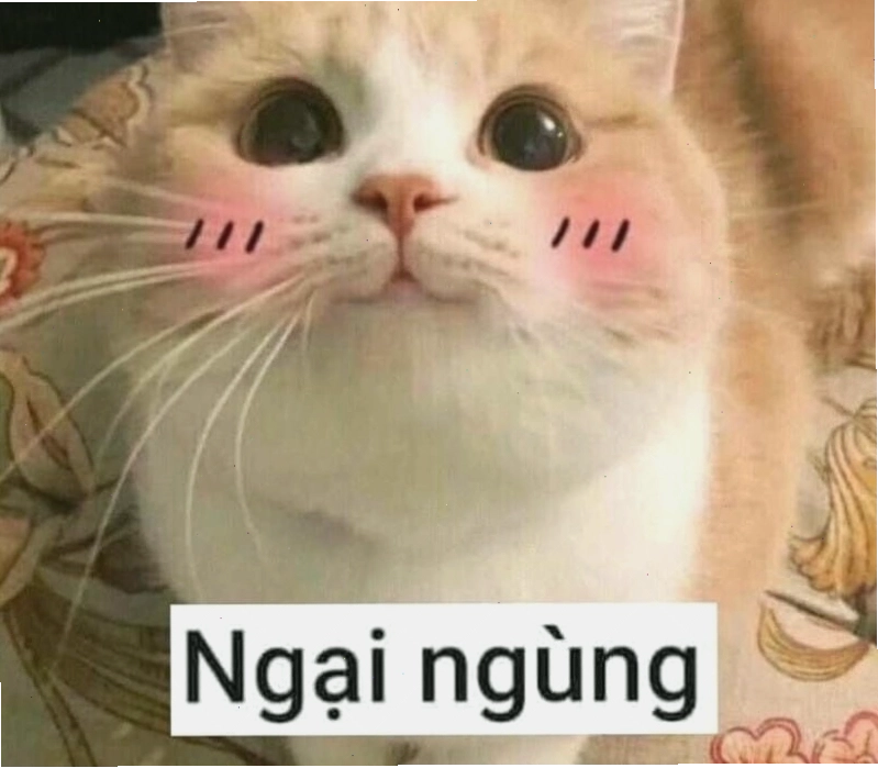 Meme ngại ngùng động vật cực kỳ đáng yêu