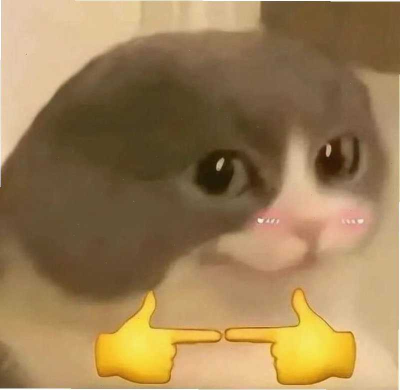 Meme ngại ngùng động vật thể hiện sự bối rối đáng yêu