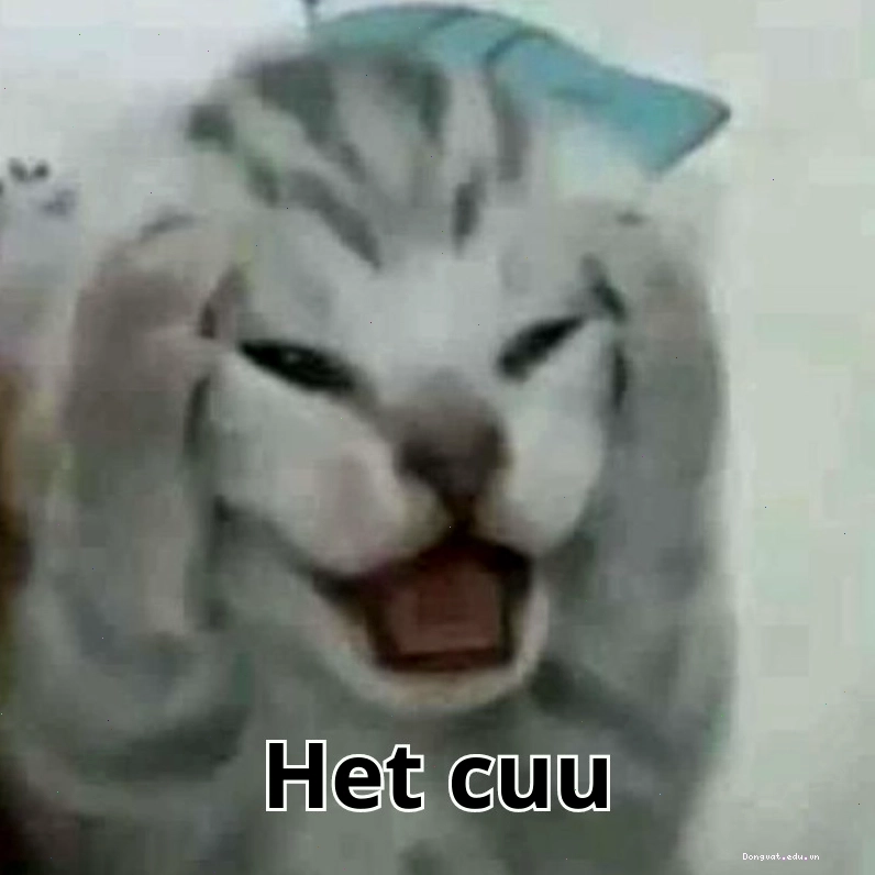 Meme nghiên cứu hài hước thể hiện sự bất lực