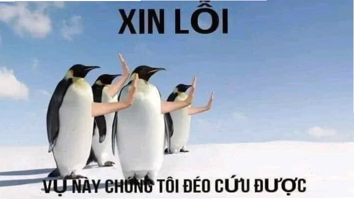 Meme nghiên cứu và sự bất lực