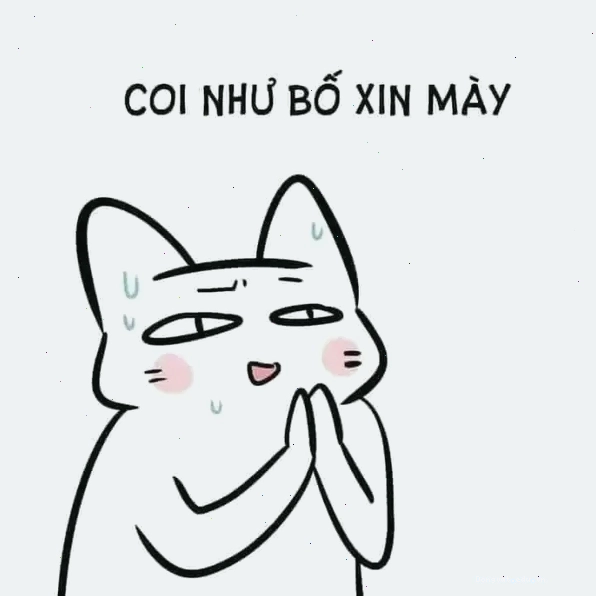 Meme quỳ lạy van xin cực hài với biểu cảm thống thiết