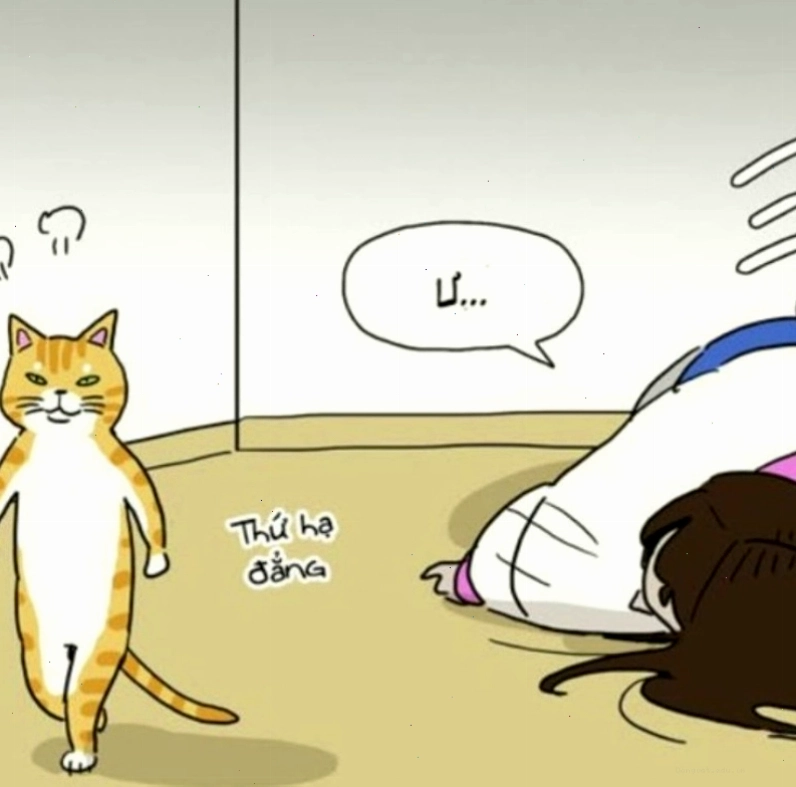Meme tức giận dễ thương và yêu kiều