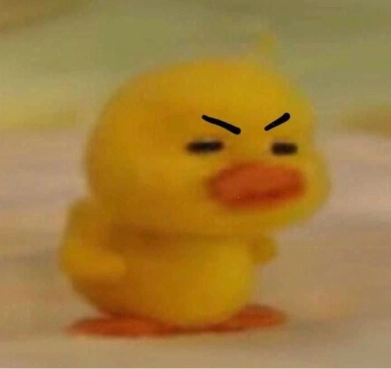 Meme vịt giận dữ với biểu cảm khó chịu