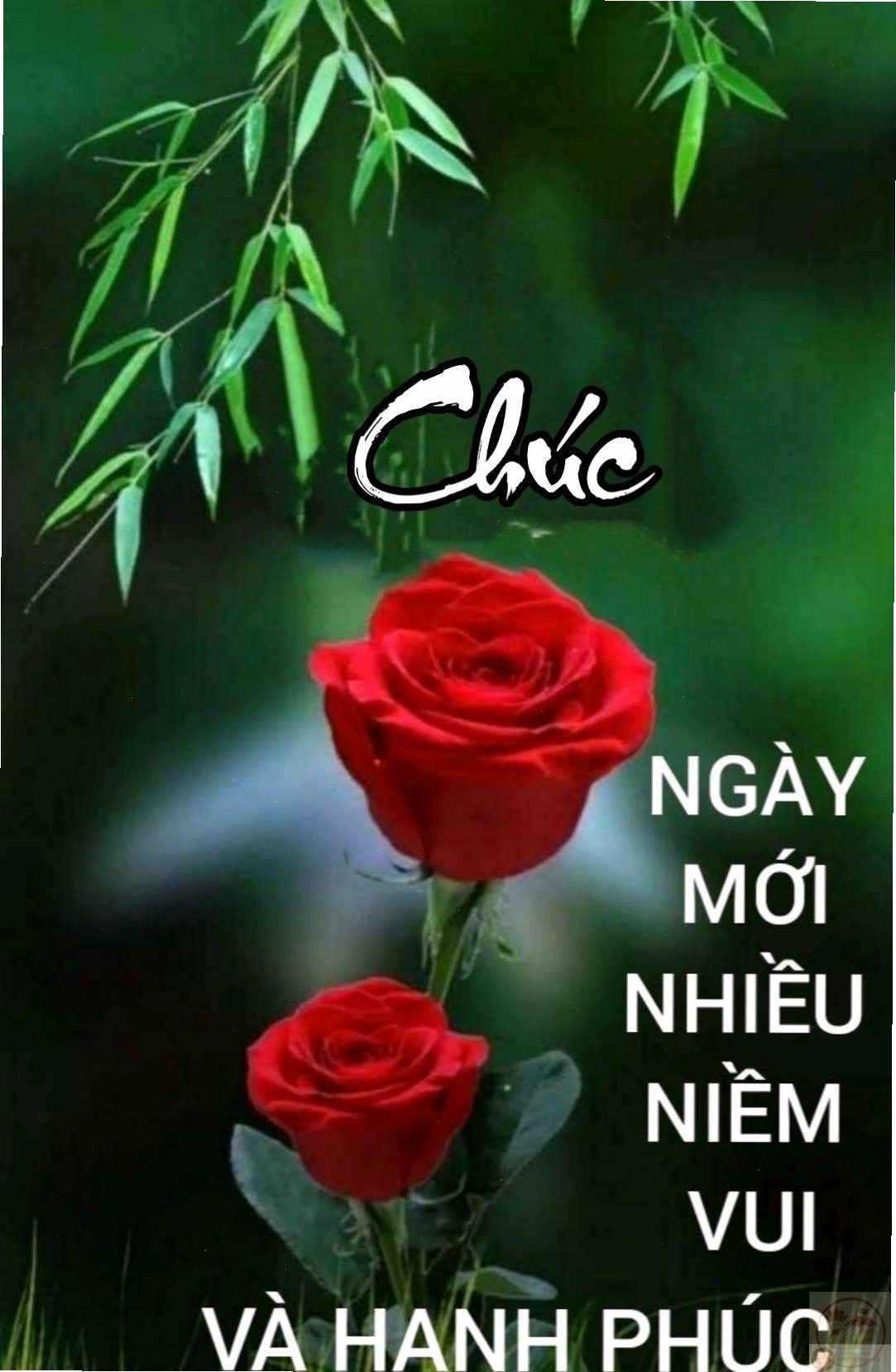 Meme vui nhộn khởi động buổi sáng bằng sự nhẹ nhàng dí dỏm