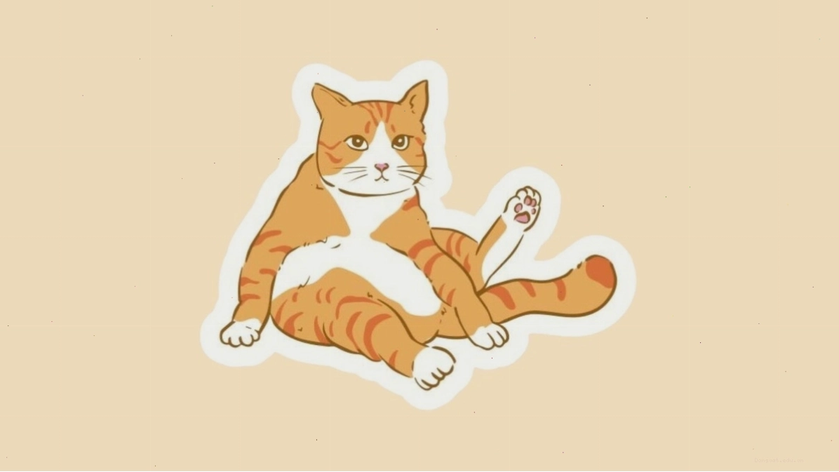 Mèo chibi đang ngắm nhìn bầu trời sao