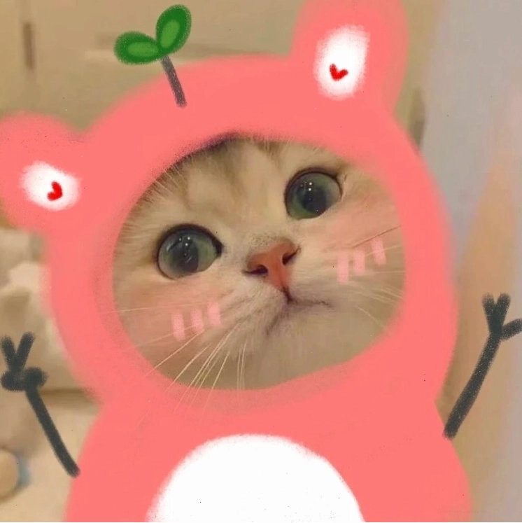 Mèo meme với khuôn mặt biểu cảm