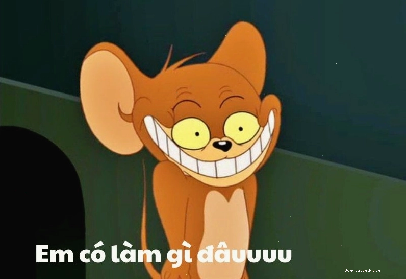 Mèo Tom meme và Jerry trong tình huống hài hước