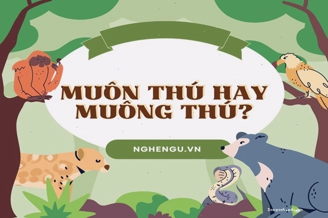 Minh họa hình ảnh các loài động vật hoang dã thuộc nhóm muông thú