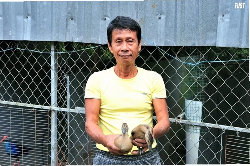 Mô hình nuôi le le thành công, mang lại thu nhập cao cho nông dân