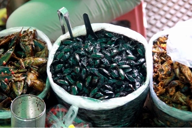 Món ăn chế biến từ cà niễng hấp dẫn