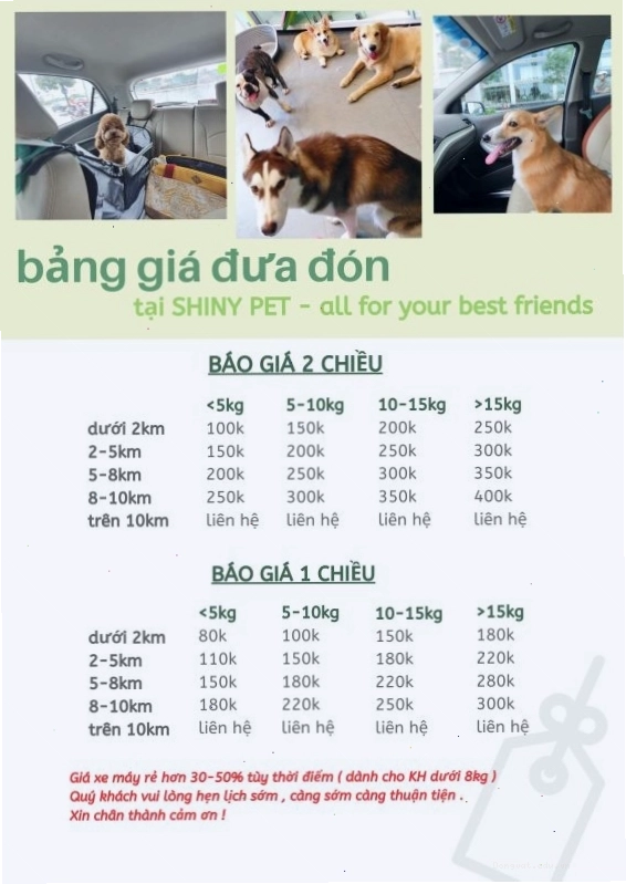 Một chú chó đang thư giãn trong bồn tắm tại spa