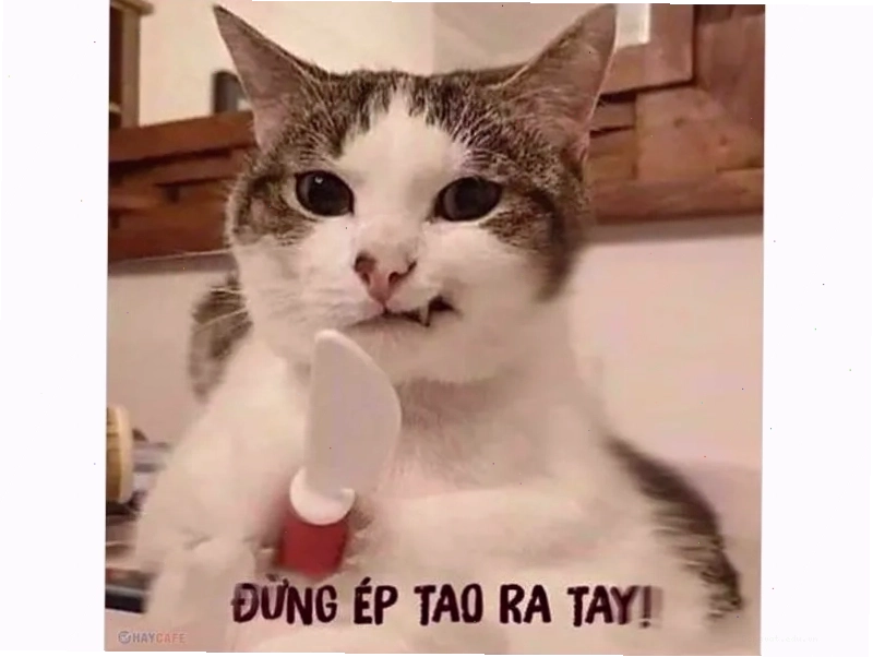 Nhân vật anime với đôi mắt buồn và giọt nước mắt