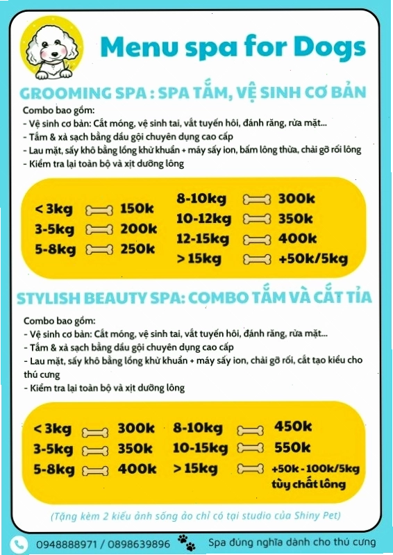 Nhân viên spa đang nhẹ nhàng sấy khô và chải lông cho thú cưng