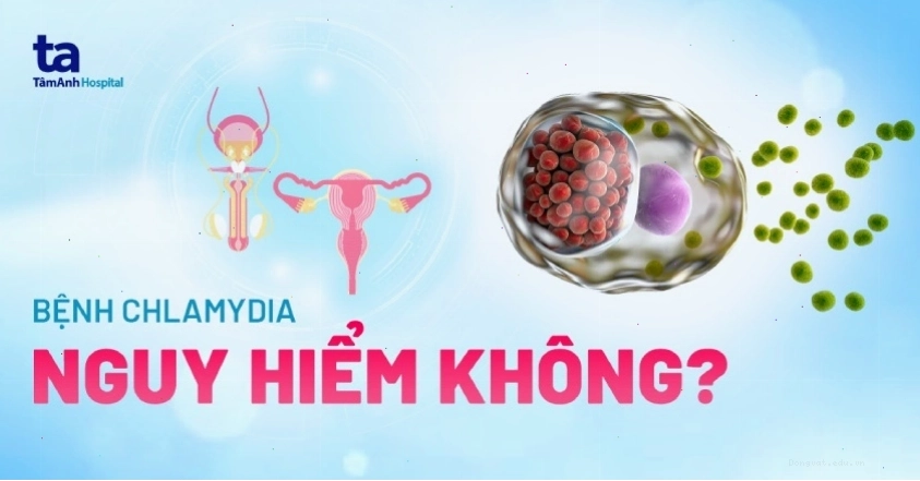 Những biến chứng nguy hiểm của bệnh chlamydia